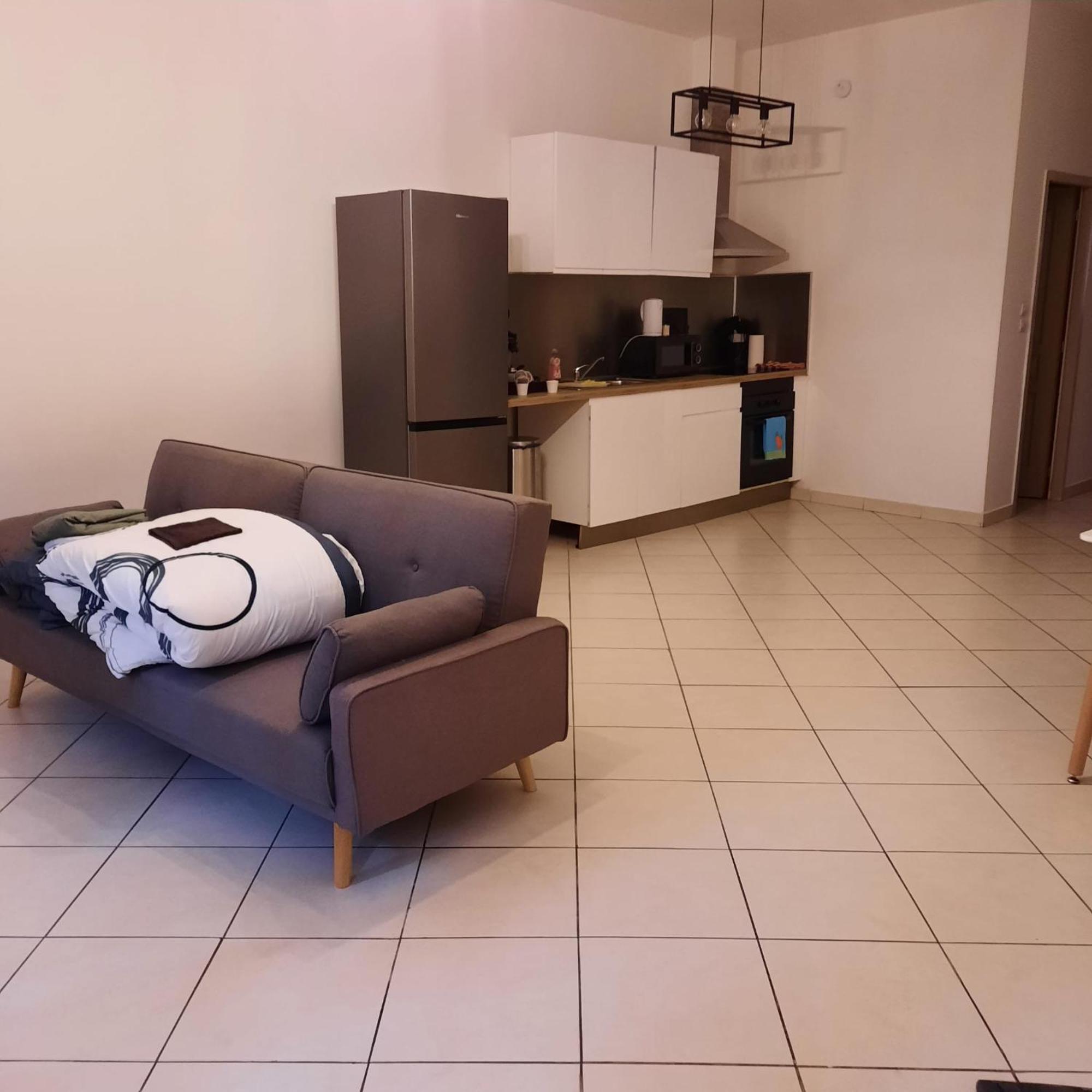 Le Albert 1Er Beziers Appartements Tout Equipes Экстерьер фото